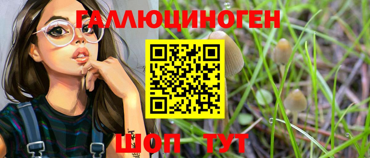 Клин  Галлюциногенные грибы мухоморы  Вход с VPN 