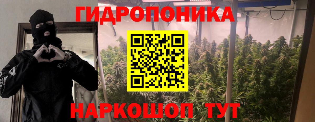 Канабис ГИДРОПОН  Вход с VPN  Бошки марихуана MAZAR  Клин  Бошки марихуана White Widow 